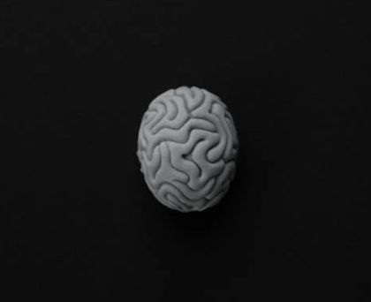 스트레스 줄이고 뇌 활력 되찾기: 2주 만에 달라지는 당신의 뇌